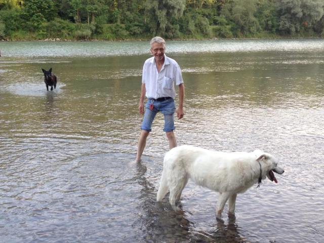 Mit den Hunden an (in) der Salzach.