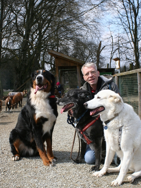 Ausflug mit Dusty, Luna und Balou in den Wildpark Ortenburg.