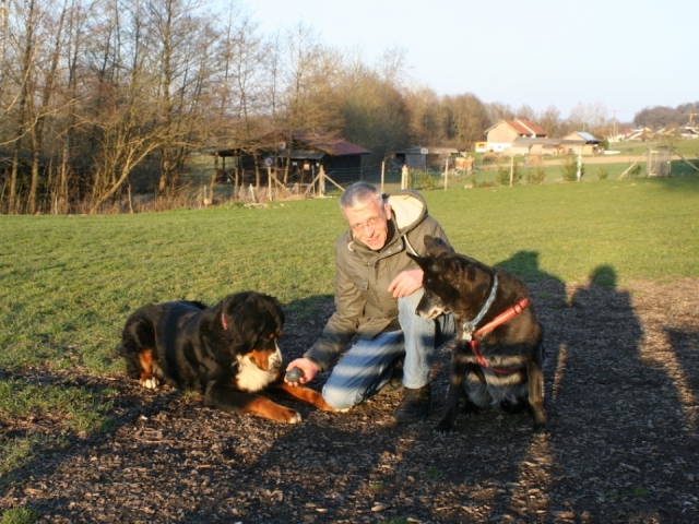 Ball spielen mit Dusty (rechts) und Balou (links).