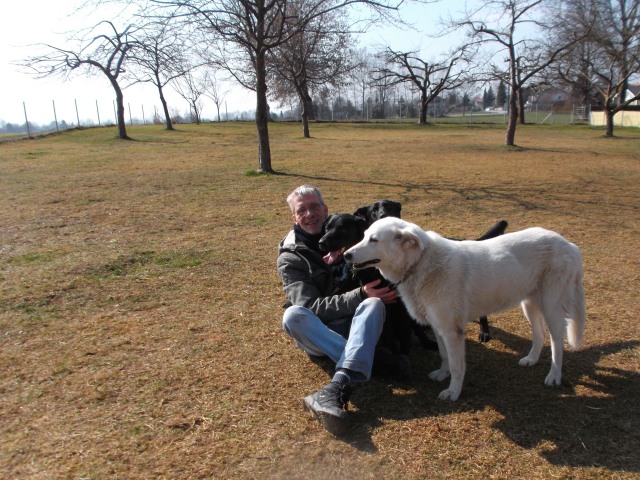 Mit Luna, Dias und Gast­hund Simba bei der Hunde­Spiel­Stunde.