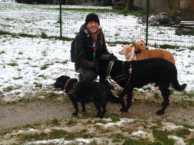 Mit den Hunden auf der Hundewiese in Seekirchen (Österreich).