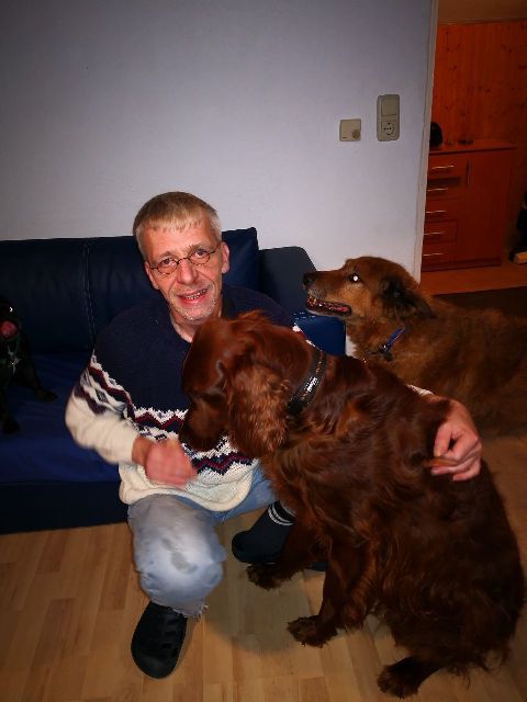 Mit Irish (Red) Setter Amor von der Tiersitter-Agentur Pawshake.