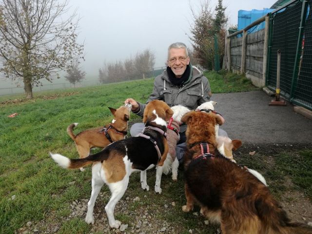 Auf der Hundewiese von Gut Aiderbichl