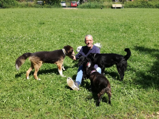 Mit Kenny auf der Hundewiese