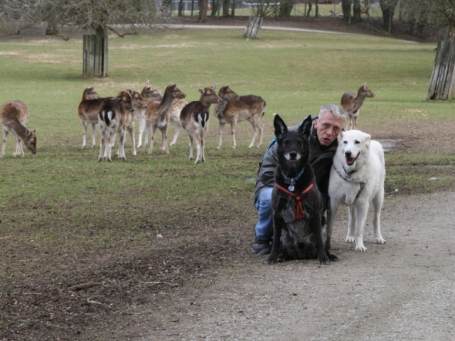 Mit Dusty und Luna im Wildpark Ortenburg.